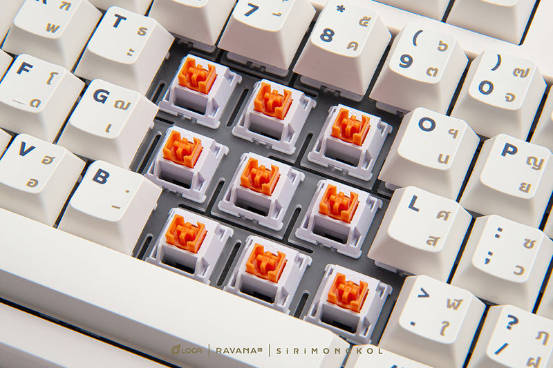 คีย์บอร์ดไร้สาย Loga Ravana 2 : Sirimongkol Edition ( Wireless Mechanical keyboard )