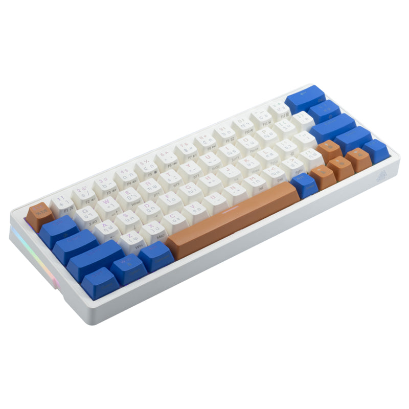 EGA CMK6 Gaming Mechanical Keyboard wireless Gasket Mounted คีย์บอร์ดเกมมิ่ง ไร้สาย