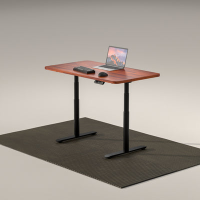 โต๊ะปรับระดับไฟฟ้า Liv Standing Desk Pro series Gen2