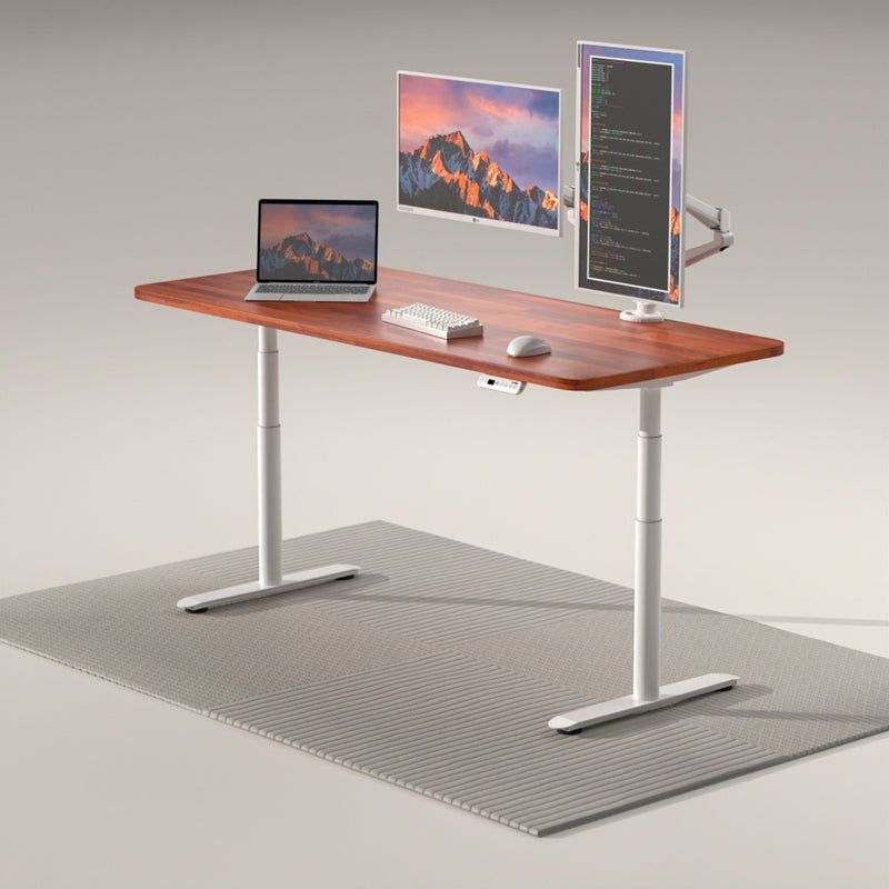 โต๊ะปรับระดับไฟฟ้า Liv Standing Desk Pro series Gen2