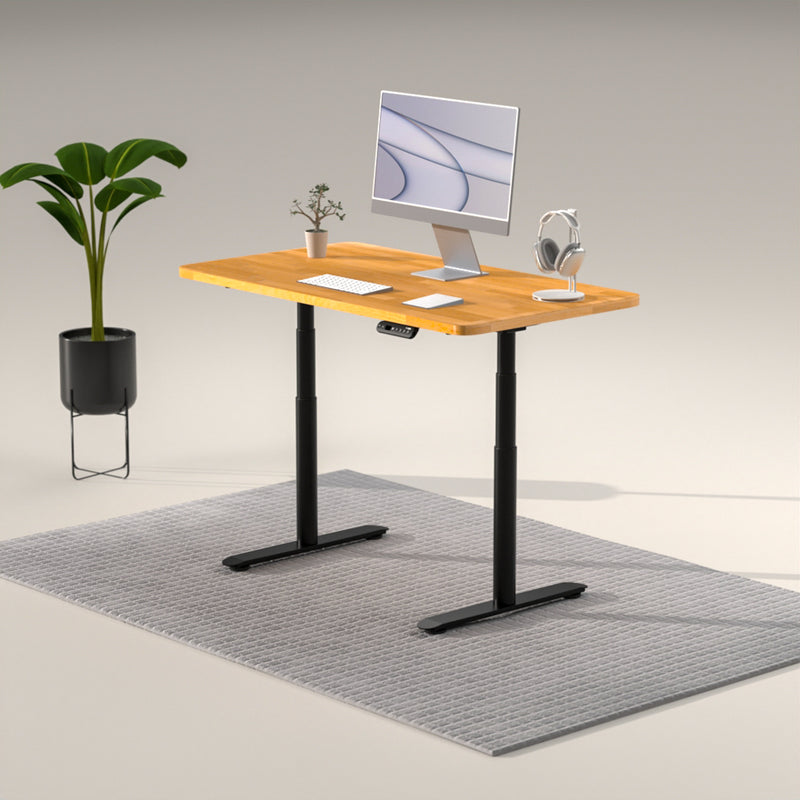 โต๊ะปรับระดับไฟฟ้า Liv Standing Desk Pro series Gen2